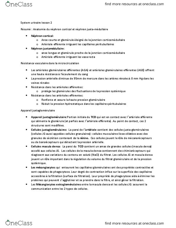 ANP 1507 Lecture Notes - Lecture 15: Macula Densa, Podocyte, Phagocytosis thumbnail