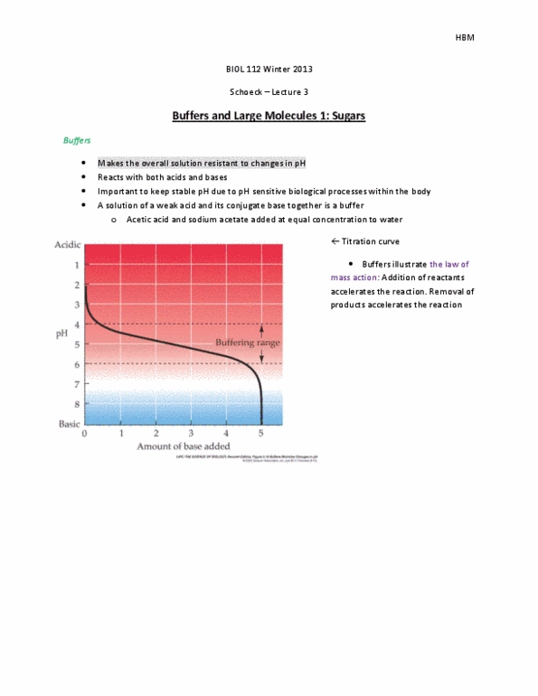 BIOL 112 Lecture Notes - Lecture 3: Chitin, Glycogen, Depolymerization thumbnail