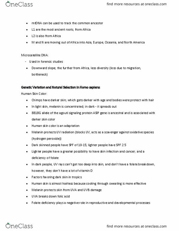 BIOLOGY 1M03 Lecture Notes - Lecture 26: Human Skin Color, Folate Deficiency, Agouti Signalling Peptide thumbnail