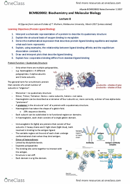 BCMB20002 Lecture Notes - Lecture 8: Pyruvate Dehydrogenase, Alpha Helix, Immunoglobulin Heavy Chain thumbnail