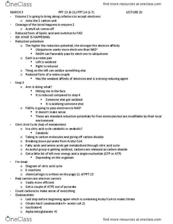 BIOL 4350 Lecture Notes - Lecture 20: Succinyl-Coa, Isocitrate Dehydrogenase, Isocitric Acid thumbnail