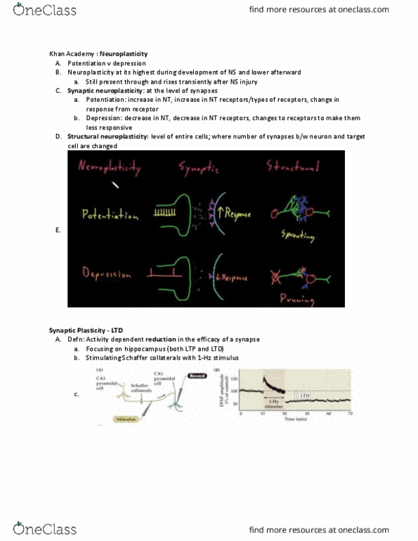 NBB 301 Lecture Notes - Lecture 14: Reverberatory Furnace, Calmodulin, Hebbian Theory thumbnail