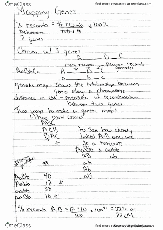 BIO 240 Lecture Notes - Lecture 6: Chromosome thumbnail