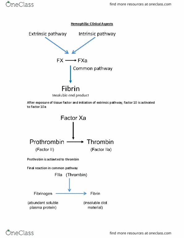 PATH 310 Lecture Notes - Lecture 3: Mutation, Covalent Bond, Hepatocyte thumbnail