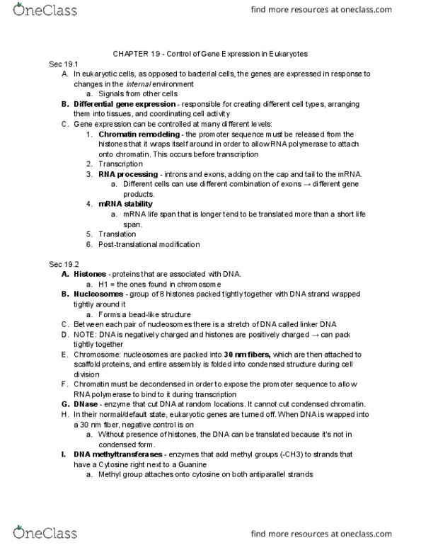 BIOL 1107 Chapter Notes - Chapter 19: Rna Interference, Stem-Loop, Tumor Suppressor Gene thumbnail