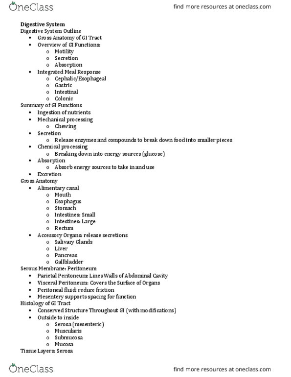 PNB 2265 Lecture Notes - Lecture 22: Phosphodiesterase, Vasoactive Intestinal Peptide, Myosin thumbnail