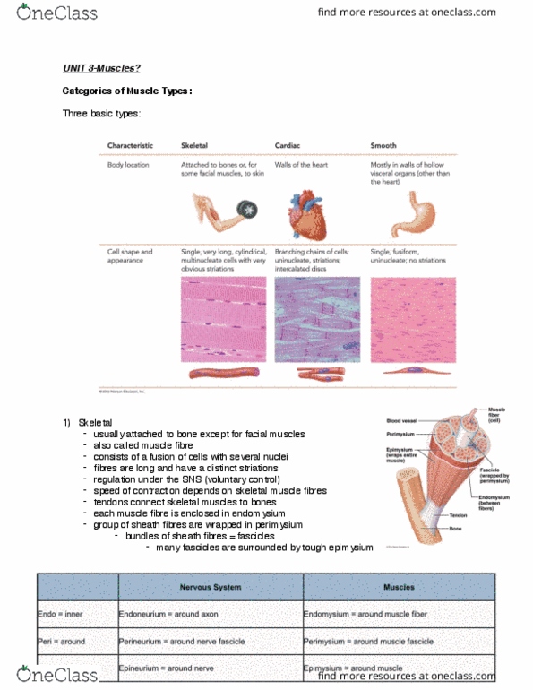 BIOM 2000 Lecture Notes - Lecture 3: Endoplasmic Reticulum, Active Transport, Hydrolysis thumbnail