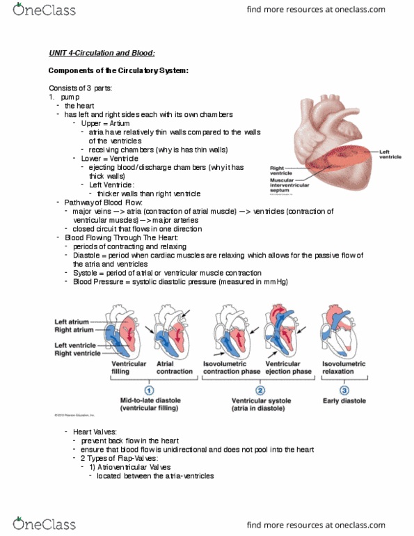 BIOM 2000 Lecture Notes - Lecture 4: Granulocyte, Macrophage, Lymph Node thumbnail