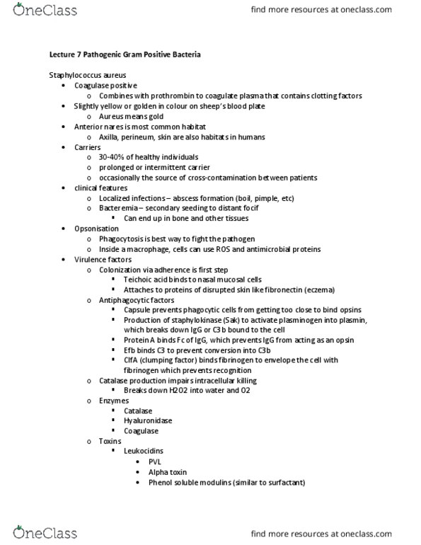 MIC 4124 Lecture Notes - Lecture 7: Coagulase, Serine Protease, Potato Salad thumbnail