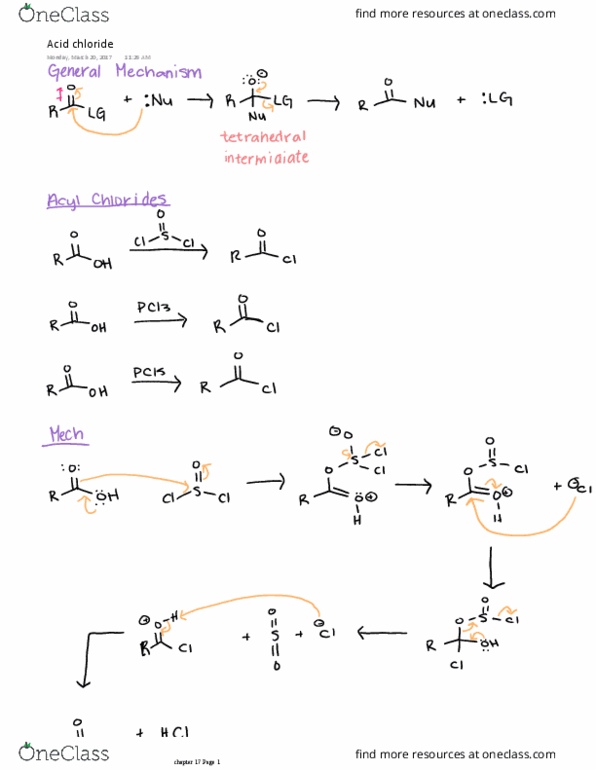 CHEM 3153 Lecture Notes - Lecture 17: Acyl Chloride, Ammonia thumbnail