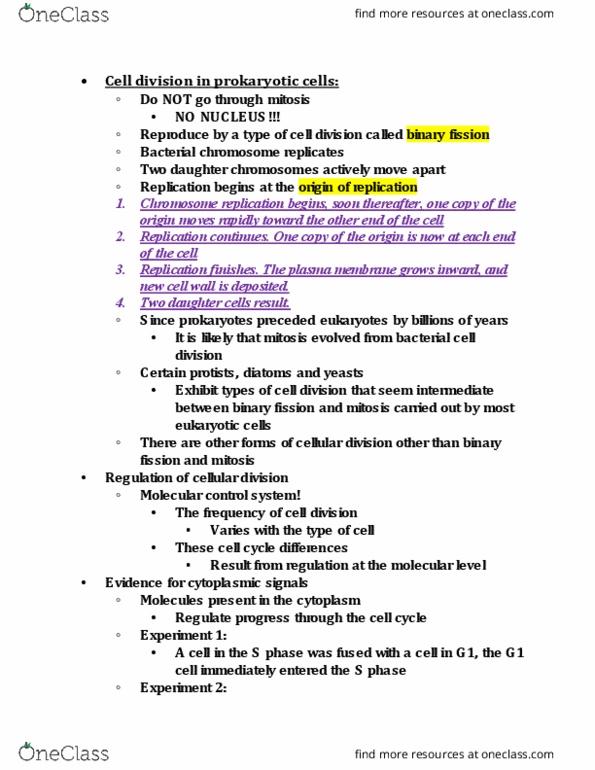 BIOL 111 Lecture Notes - Lecture 16: Prometaphase, Metastasis, Metaphase thumbnail
