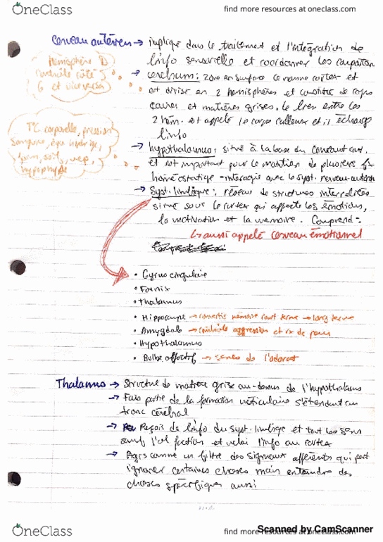 BIO 3703 Lecture Notes - Lecture 13: Cetin Castle, Ofu-Olosega, Chage And Aska thumbnail