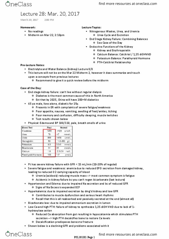 PSL301H1 Lecture Notes - Lecture 28: Argininosuccinate Synthase, Carbamoyl Phosphate, Collecting Duct System thumbnail