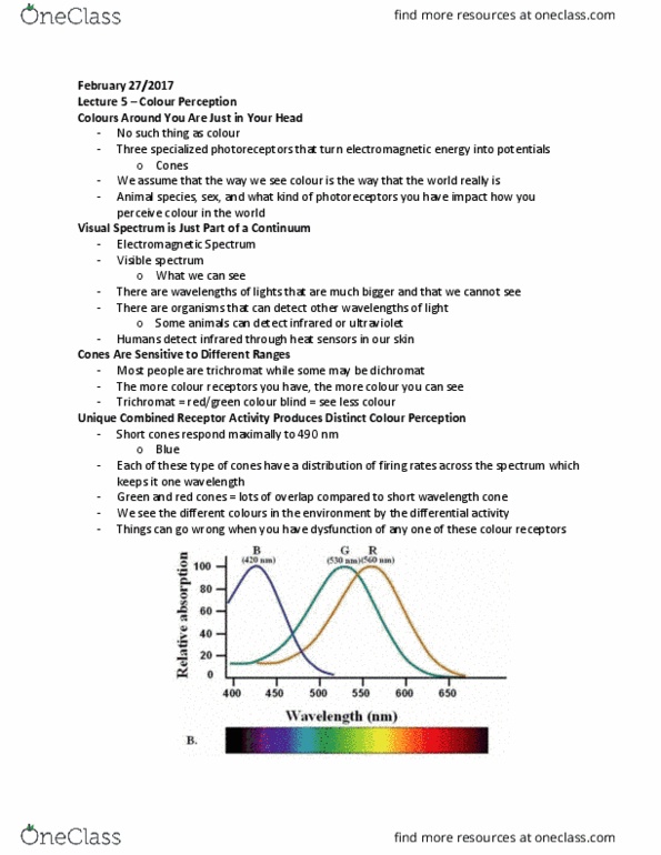 PSYCH 1XX3 Lecture Notes - Lecture 5: Color Blindness, Visible Spectrum, Trichromacy thumbnail