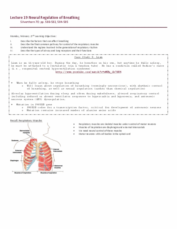 PSL301H1 Lecture 19: L19 Neural Regulation of Breathing thumbnail