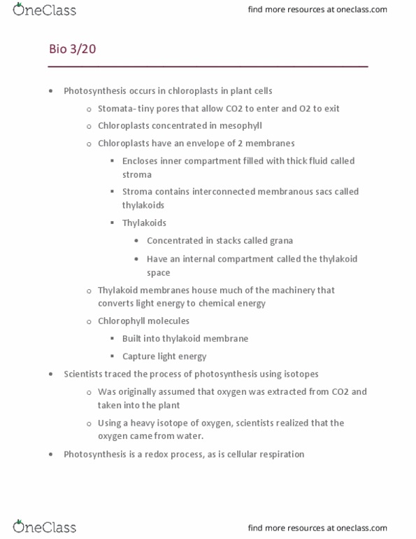 BIOL 1012 Lecture Notes - Lecture 23: Carbon Fixation, Photosynthetic Reaction Centre, Photoprotection thumbnail