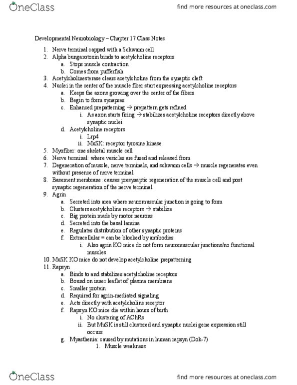 BISC439 Lecture Notes - Lecture 17: Receptor Tyrosine Kinase, Neuromuscular Junction, Basal Lamina thumbnail