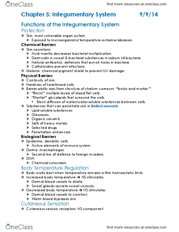 KAAP309 Chapter Notes - Chapter 5: Stratum Corneum, Stratum Granulosum, Stratum Spinosum thumbnail