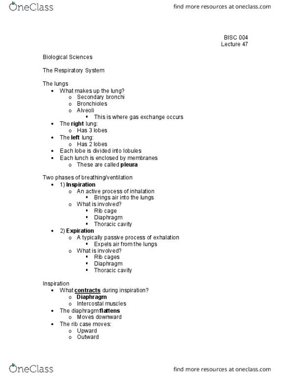 BI SC 004 Lecture Notes - Lecture 47: Rib Cage, Thoracic Cavity, Bronchiole thumbnail