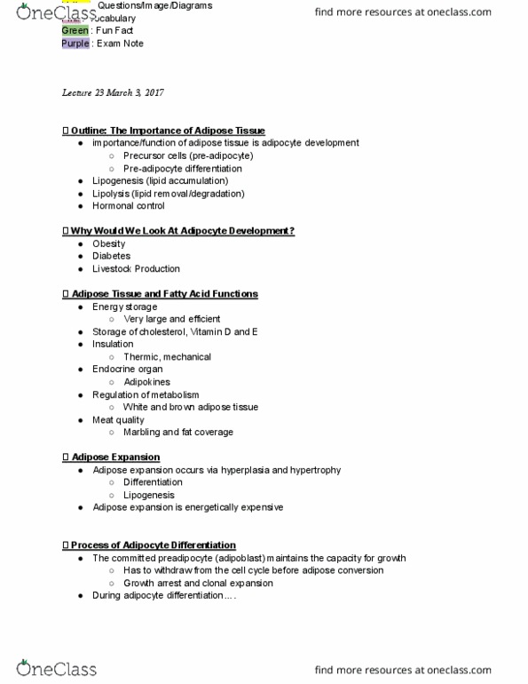 AN S 345 Lecture Notes - Lecture 23: Brown Adipose Tissue, Adipose Tissue, Adipocyte thumbnail