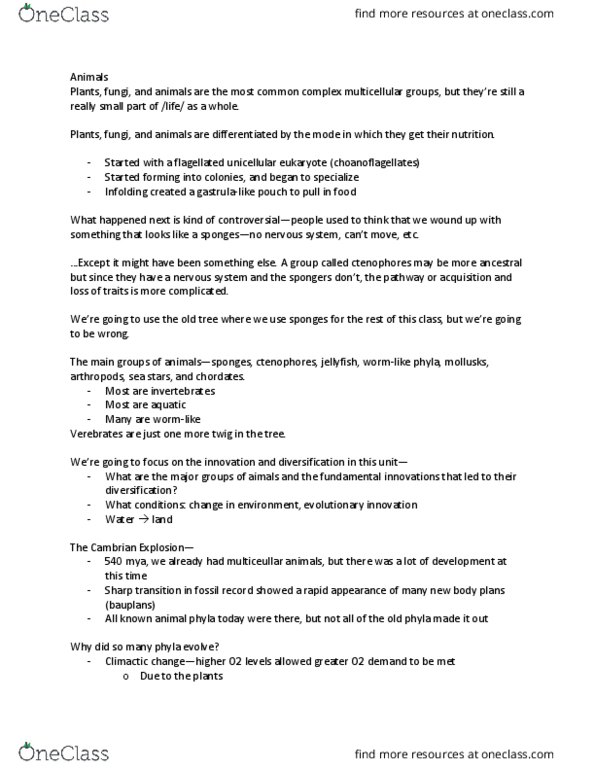 BIOL-104 Lecture Notes - Lecture 21: Body Plan, Choanoflagellate, Eukaryote thumbnail