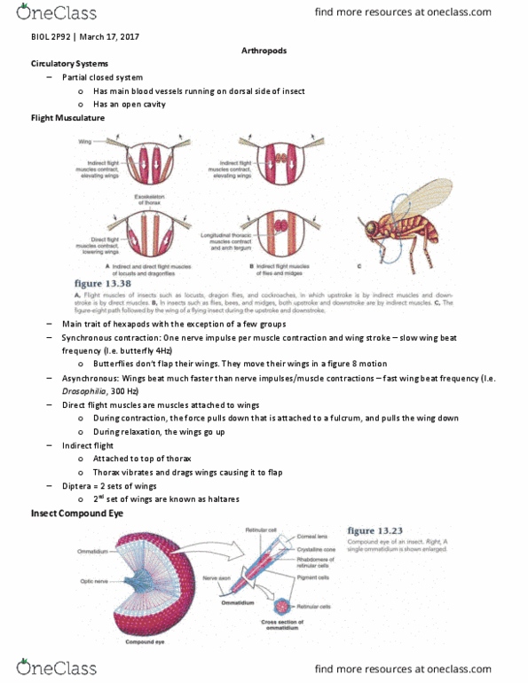 document preview image