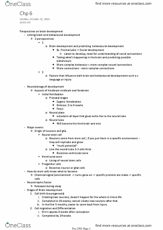 PSY 2301 Lecture Notes - Lecture 6: Neural Stem Cell, Neural Tube, Ventricular Zone thumbnail