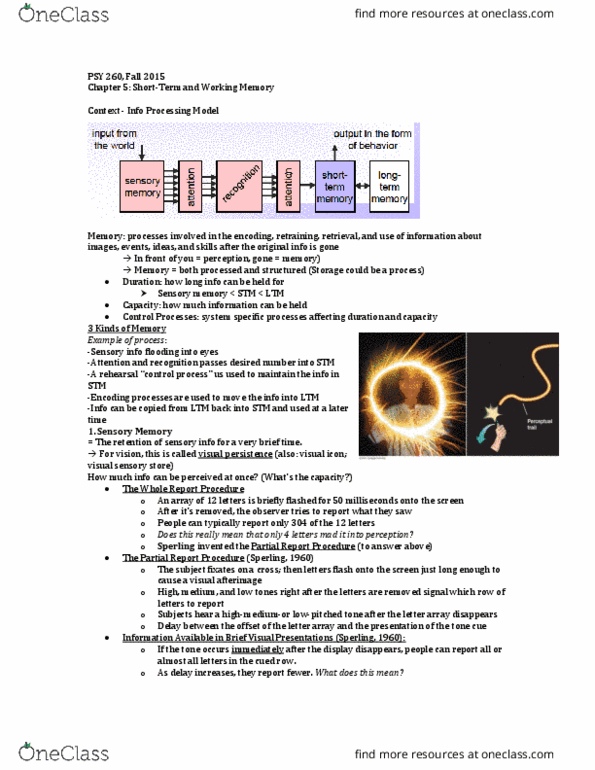 PSY 260 Lecture 5: Chapter 5 Notes thumbnail