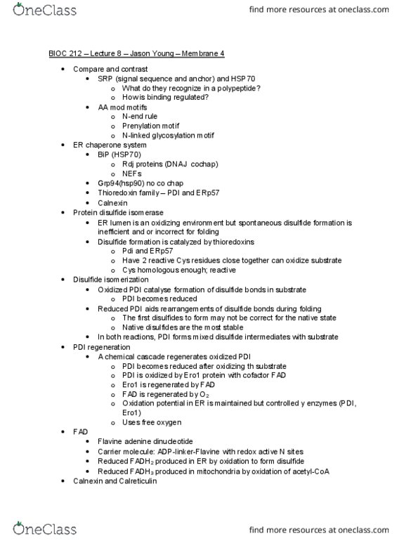 BIOC 212 Lecture Notes - Lecture 8: Endoplasmic-Reticulum-Associated Protein Degradation, Glycoprotein, Hydrophobe thumbnail