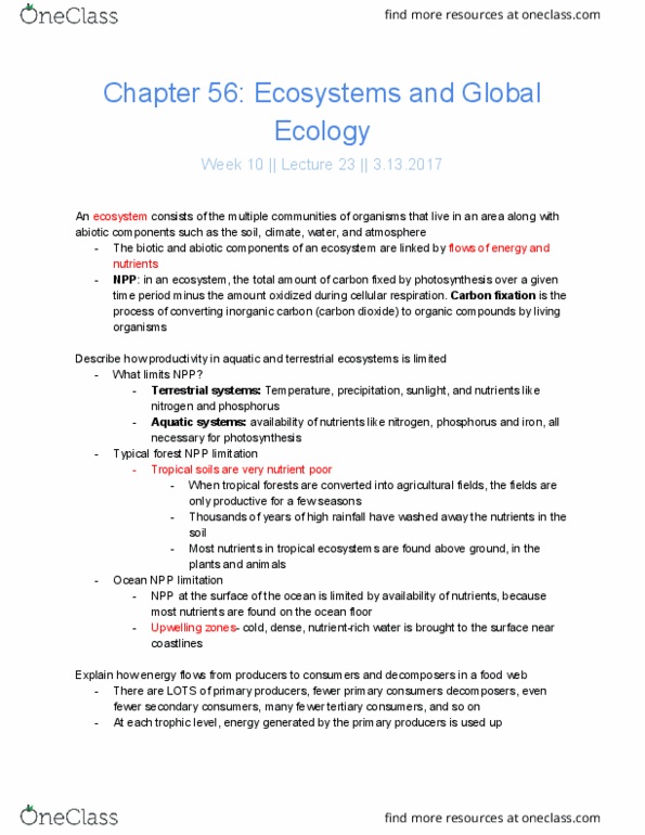 BIO SCI 94 Lecture Notes - Lecture 23: Global Cooling, Allele Frequency, Mountain Pine Beetle thumbnail