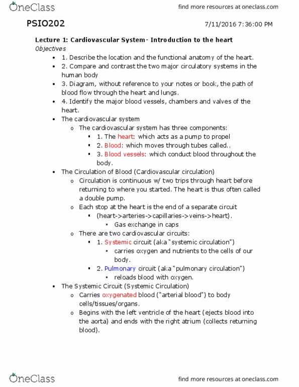 PSIO 202 Lecture Notes - Lecture 8: Chordae Tendineae, Pulmonary Valve, Aortic Valve thumbnail
