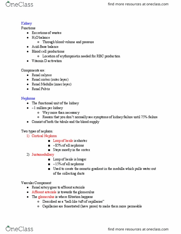 KNES 260 Lecture Notes - Lecture 27: Blood Vessel, Oncotic Pressure, Creatinine thumbnail