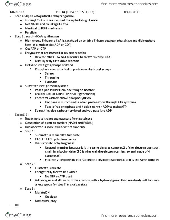 BIOL 4350 Lecture Notes - Lecture 21: Cell Membrane, Oxidoreductase, Conformational Change thumbnail