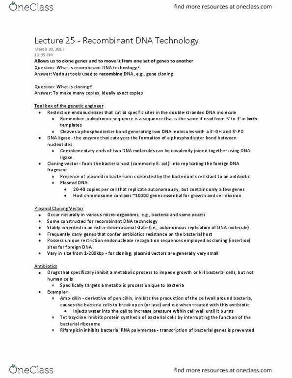 BIOL 2030 Lecture Notes - Lecture 25: Plasmid, Cloning Vector, Restriction Enzyme thumbnail