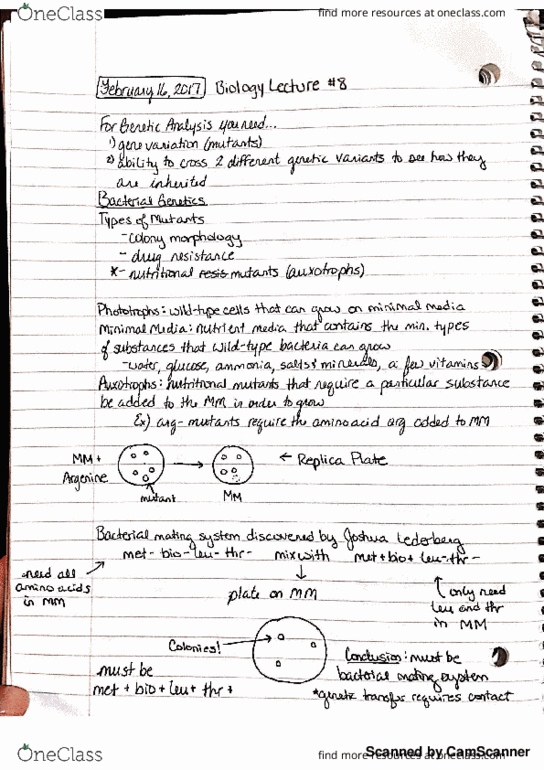 BIO 326 Lecture Notes - Lecture 8: Maktar, Knom, Maasmechelen thumbnail
