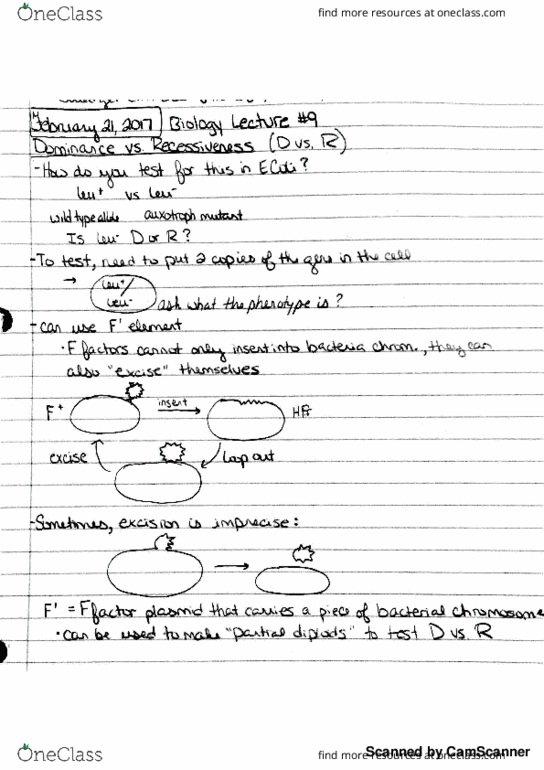 BIO 326 Lecture Notes - Lecture 9: Auxotrophy, Bacteriophage, European Credit Transfer And Accumulation System thumbnail