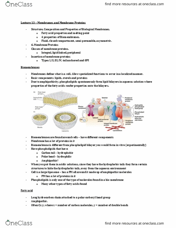 Biology 2382B Lecture 13: Lec 13 - Membrane thumbnail