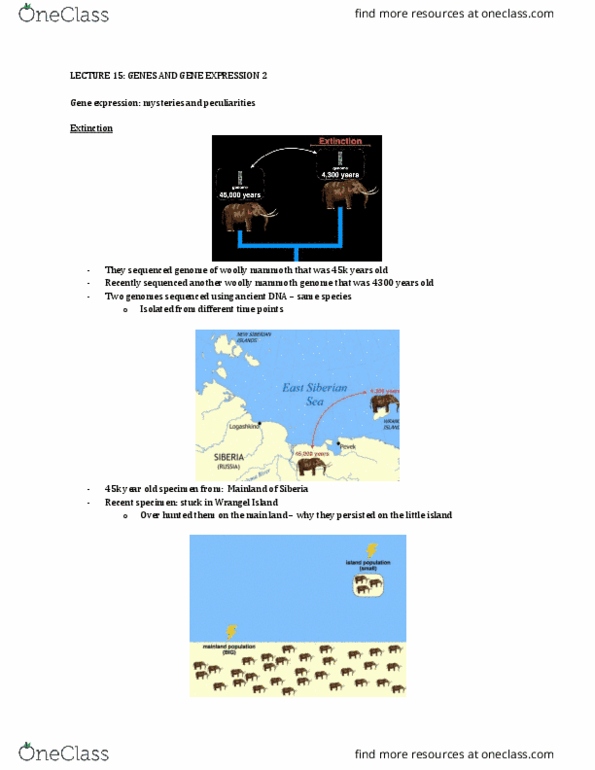 Biology 2581B Lecture Notes - Lecture 15: Woolly Mammoth, Wrangel Island, Ribosomal Rna thumbnail