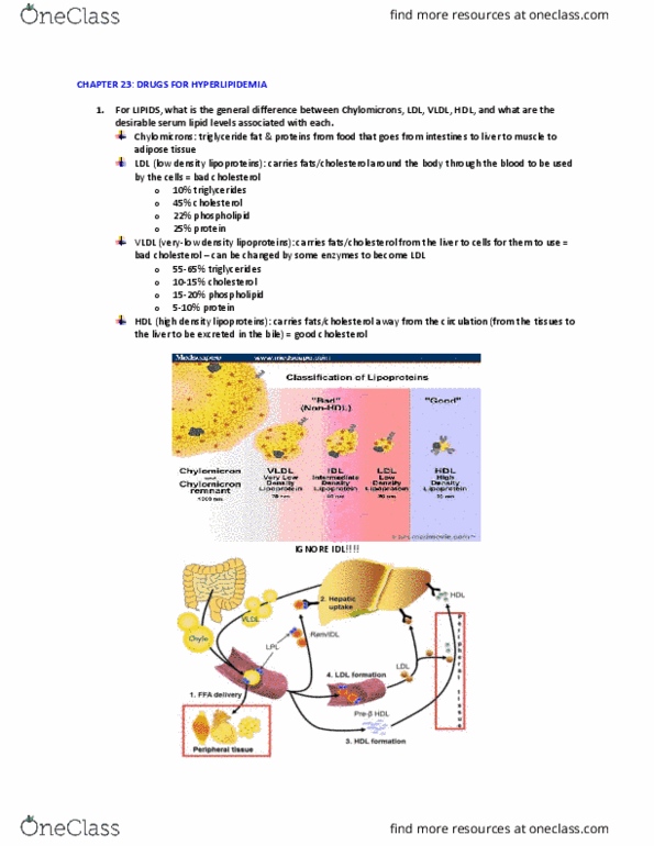 HSCI 301 Lecture Notes - Lecture 1: Low-Density Lipoprotein, Myopathy, Statin thumbnail