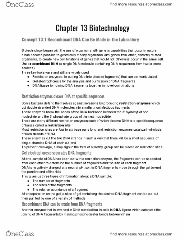 BSC 2010 Chapter 13: Chapter 13 Biotechnology thumbnail