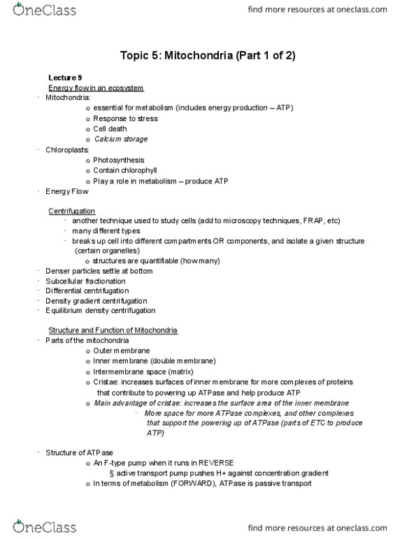 BIO 1140 Lecture Notes - Lecture 9: Oxidative Phosphorylation, Acetyl-Coa, Electrochemical Gradient thumbnail