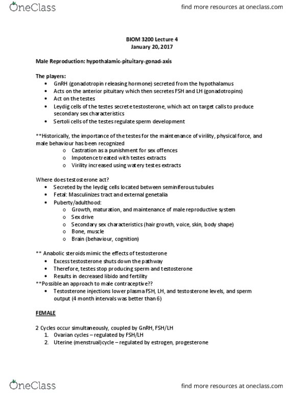 BIOM 3200 Lecture Notes - Lecture 26: Secondary Sex Characteristic, Male Reproductive System, Seminiferous Tubule thumbnail