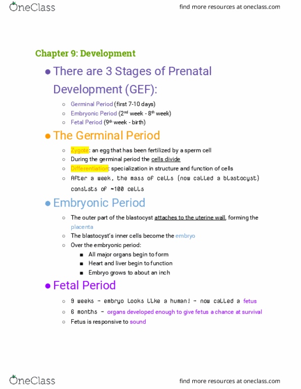 PSYCH 7A Lecture Notes - Lecture 20: Blastocyst, Prenatal Development, Fetus thumbnail