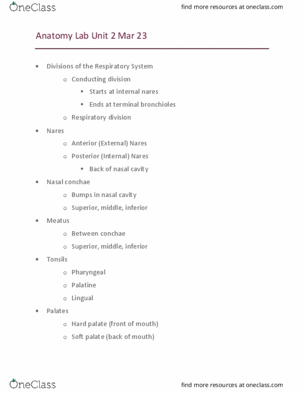 KINS 1224 Lecture Notes - Lecture 10: Cricoid Cartilage, Soft Palate, Thyroid Cartilage thumbnail