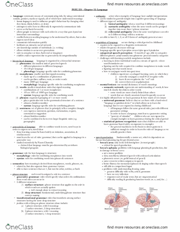 PSYC 251 Chapter Notes - Chapter 12: Syntactic Ambiguity, Noam Chomsky, Speech Perception thumbnail