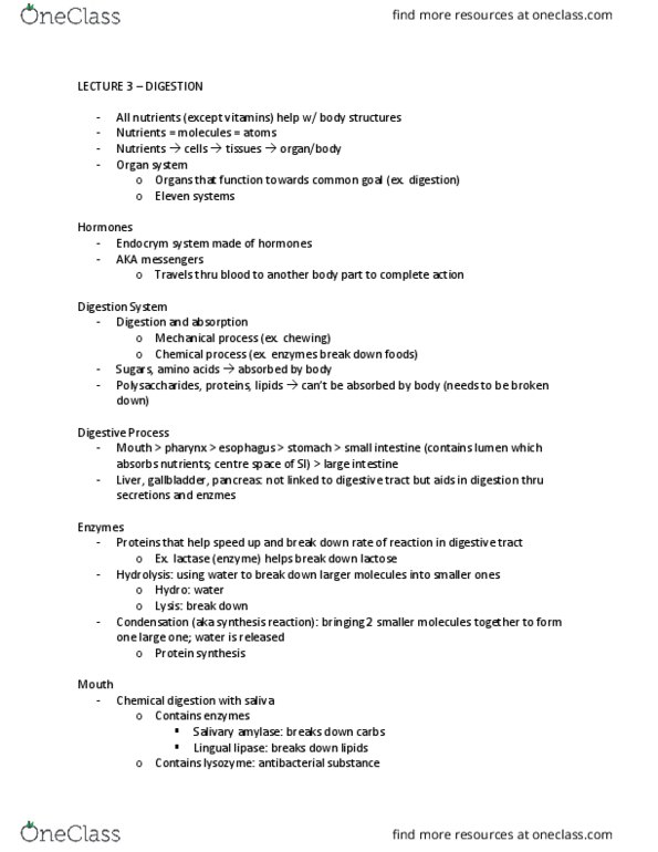 BPK 110 Lecture Notes - Lecture 3: Lingual Lipase, Lactase, Lysozyme thumbnail