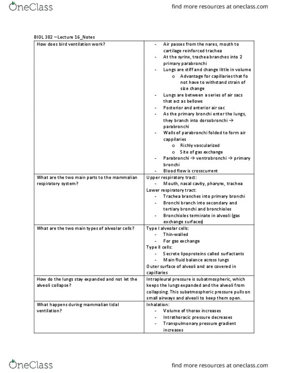 BIOL 382 Lecture Notes - Lecture 16: Carbonic Anhydrase, Partial Pressure, Enzyme thumbnail