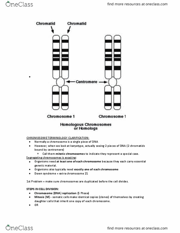 BIOL 112 Lecture Notes - Lecture 21: Cytokinesis, Cyclin E, Cyclin-Dependent Kinase 4 thumbnail