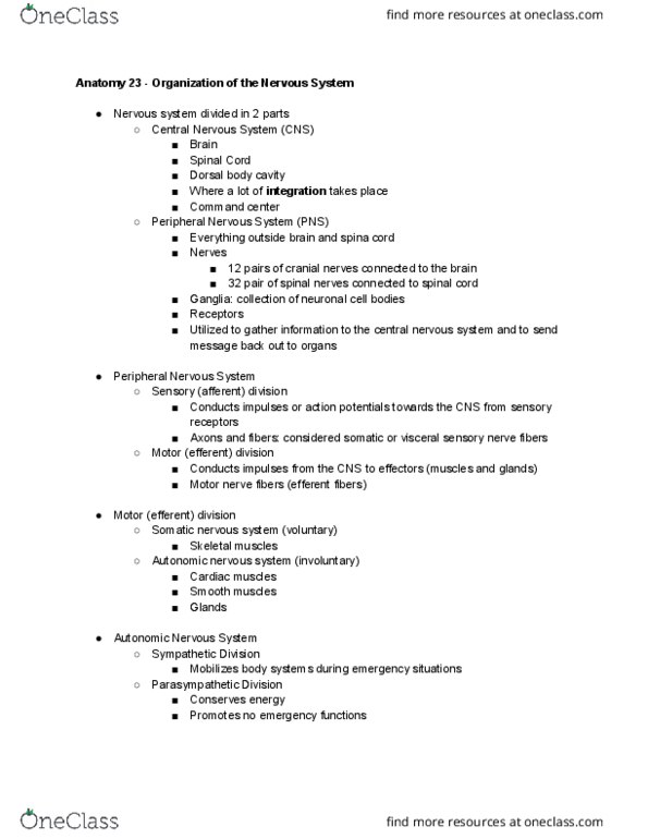 ANATOMY 2300.03 Lecture Notes - Lecture 23: Somatic Nervous System, Autonomic Nervous System, Central Nervous System thumbnail