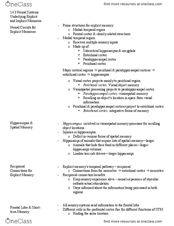 HMB200H1 Chapter Notes - Chapter 14.3: Panic Disorder, Periaqueductal Gray, Brainstem thumbnail